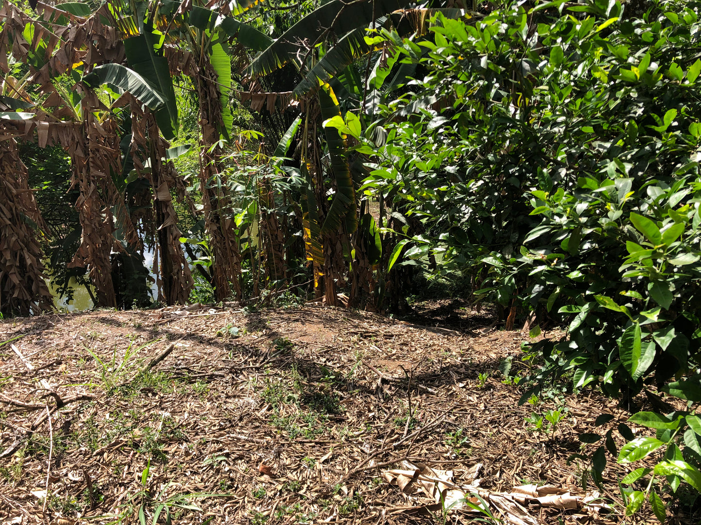 Linhda Chácara no Vale Verde com lago