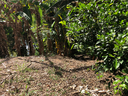 Linhda Chácara no Vale Verde com lago
