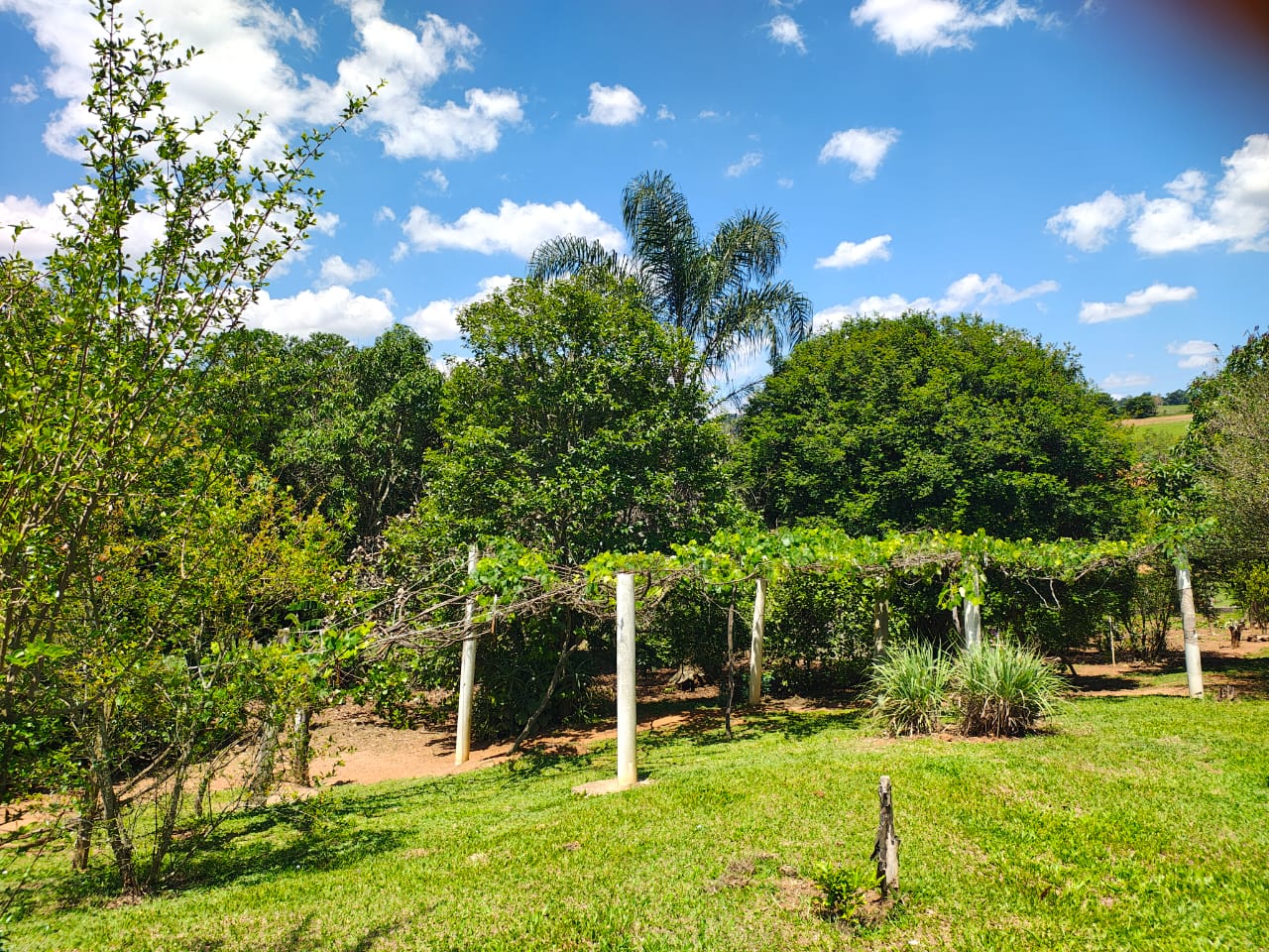 Linda Chacara em Tuiuti