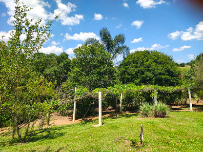 Linda Chacara em Tuiuti
